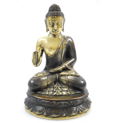 Protezione della statua di Buddha seduta in bronzo. Decorazione artigianale Asia.