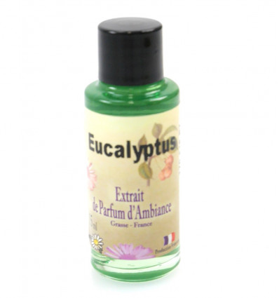 Estratto di profumo di eucalipto per un diffusore, l'origine di Grasse, in Francia.