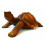 Great statue turtle earth giant Galapagos, carving wood purchase.