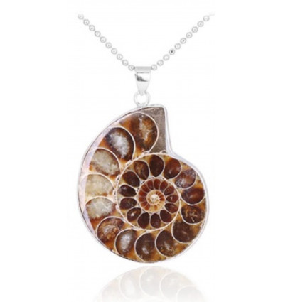 Ammonite Fossil Pendant Necklace