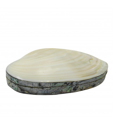 Mother-of-pearl abalone-shaped velvet box surrounded by mother-of-pearl marquetry