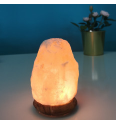 Lampe Sel de l'Himalaya - OM SOLEIL - 5 kg - Ambiance Zen et Feng Shui/ Lampes de Sel de l'himalaya - La Boutique du Guérisseur