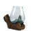 Blown Glass Vase on Teak Root - Height 27 to 30cm