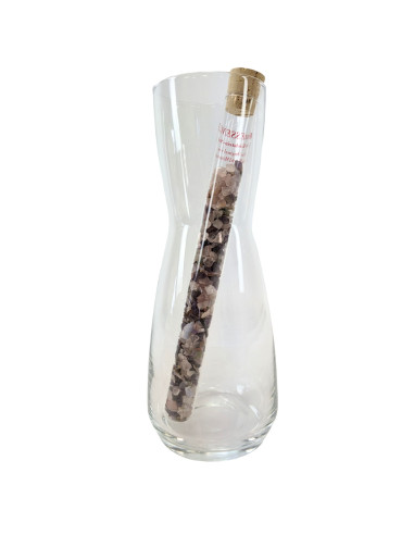 Shungite e cristallo di rocca Acqua Dynamization Gem Stick, in un decanter