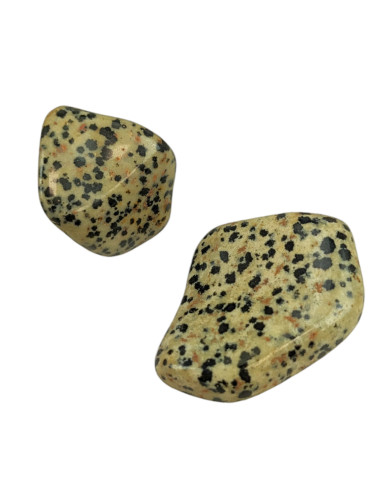 Dalmatian Jasper - Tumbled Stones 40/50g